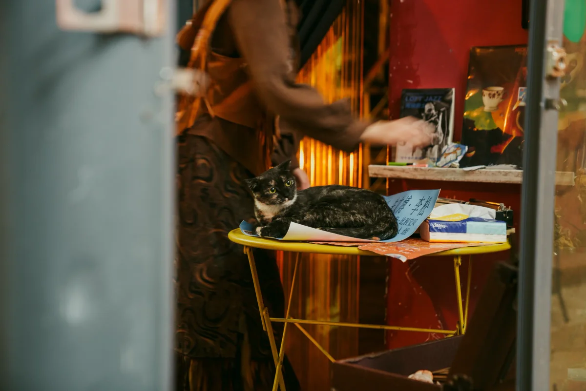 一只黑猫趴在室内的黄色小折叠桌上，身后是一个模糊的人影正在整理架子。
